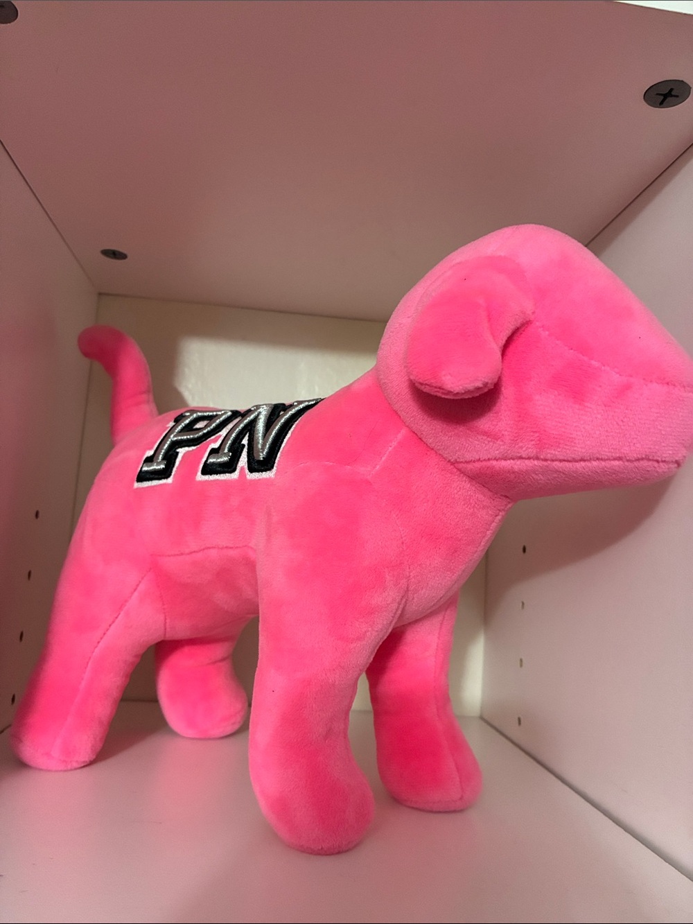 PINK VS Dog